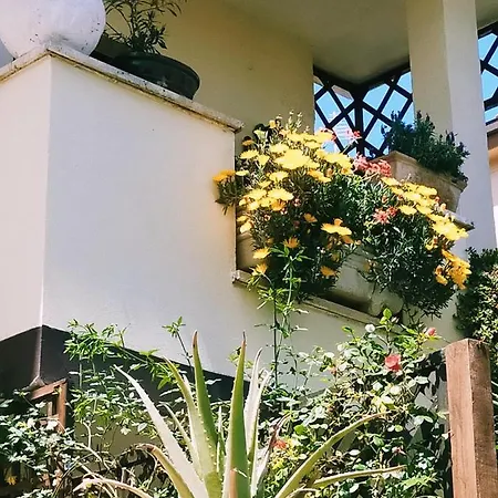Luxury Magnolia Terrace 게스트하우스 프레제네